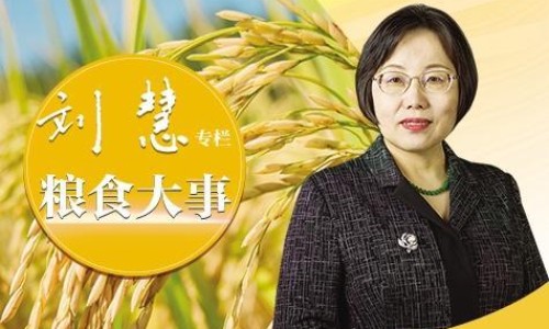 【姜蜜的6种家常做法】生姜蜜 - 姜汁蜜功效网